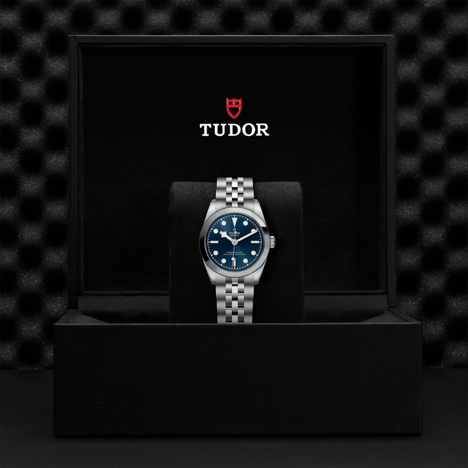Relógio Tudor Black Bay One 31