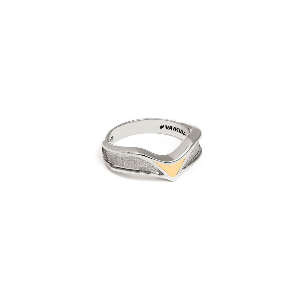 anel-falcao-em-prata-e-ouro-amarelo-dryzun-096010-m1