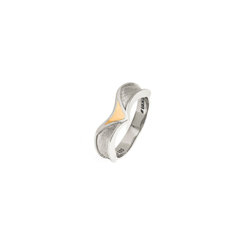 anel-falcao-em-prata-e-ouro-amarelo-dryzun-096010-m2