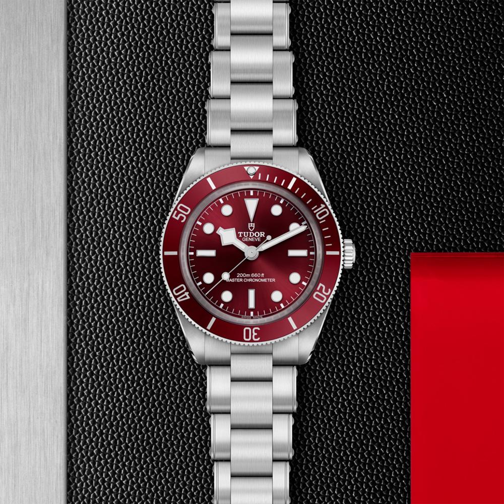 Relógio Tudor Black Bay One 36