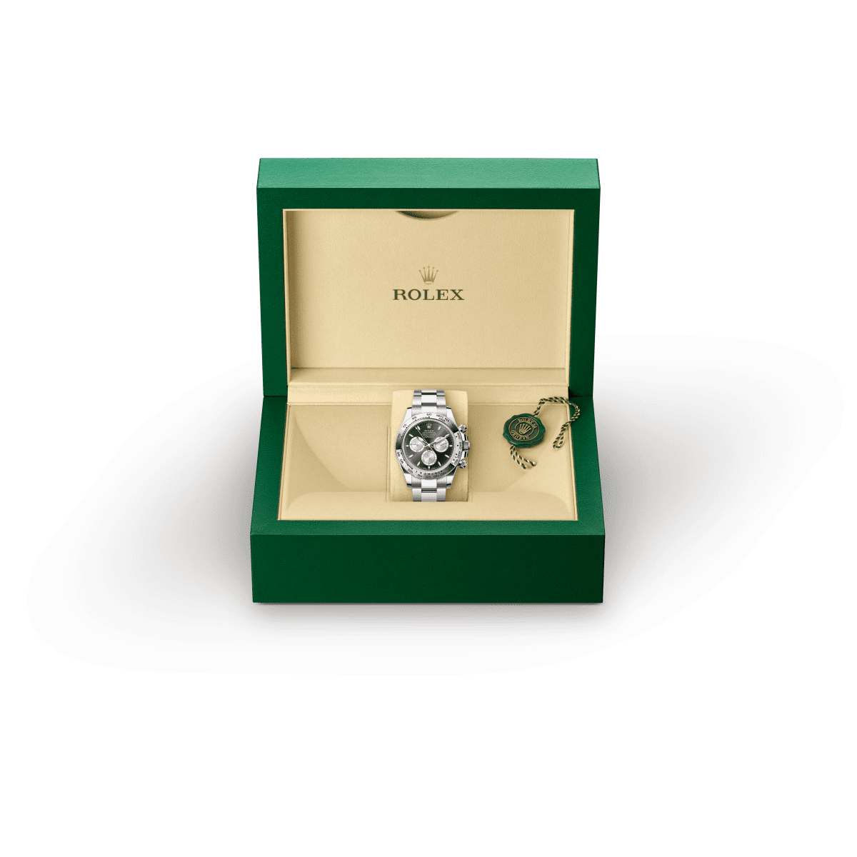 Rolex Cosmograph Daytona em ouro branco, m126509-0001 | Dryzun Joias
