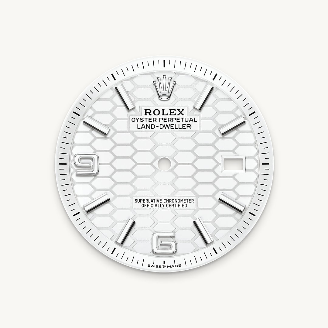 Rolex Land-Dweller 40 aço, M127334-0001 | Dryzun Joias